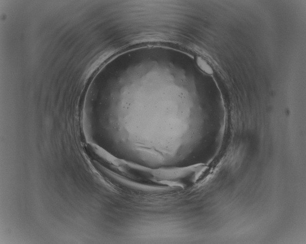 X0000074011129200608211415