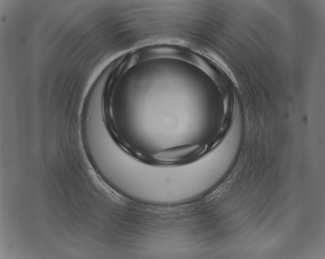 X0000074011132200608211415