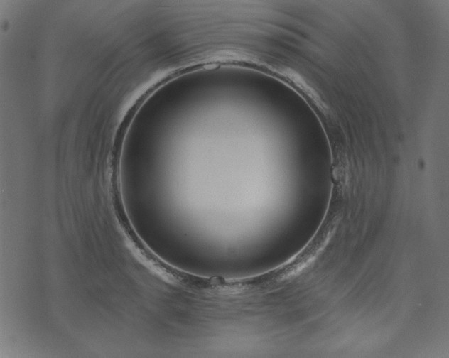 X0000074011134200608211415