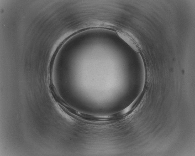 X0000074011136200608211415