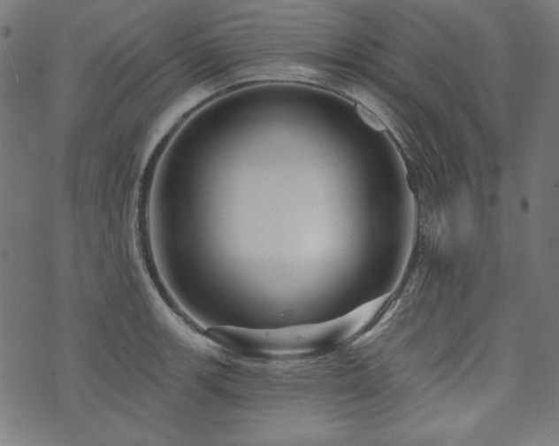 X0000074011139200608211415