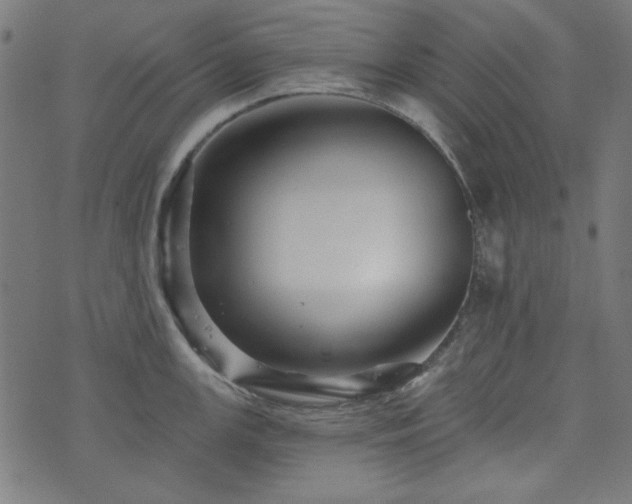 X0000074011147200608211415