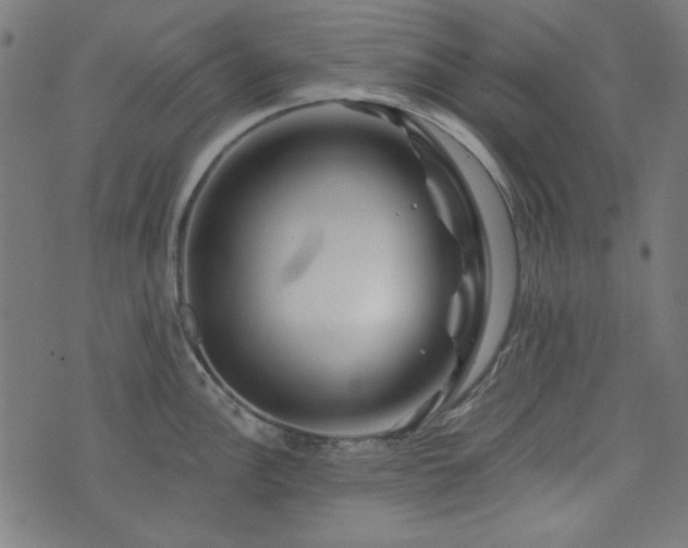 X0000074011148200608211415