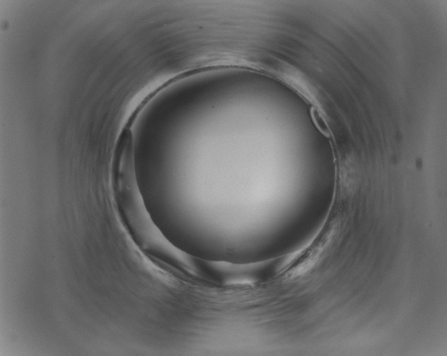 X0000074011149200608211415