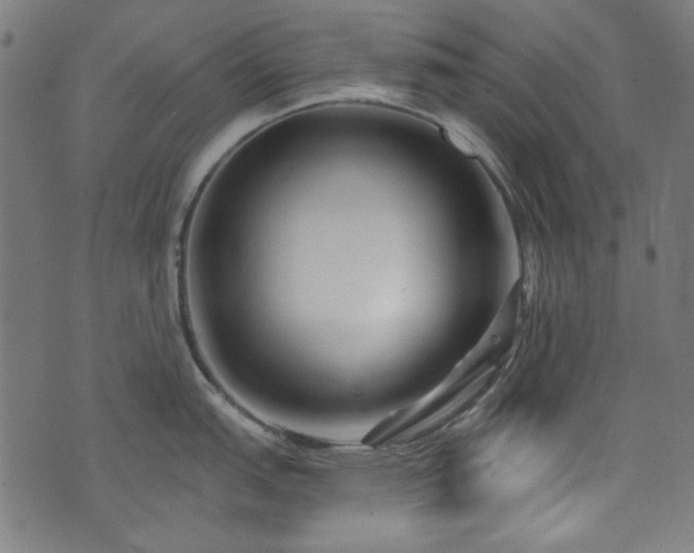 X0000074011151200608211415