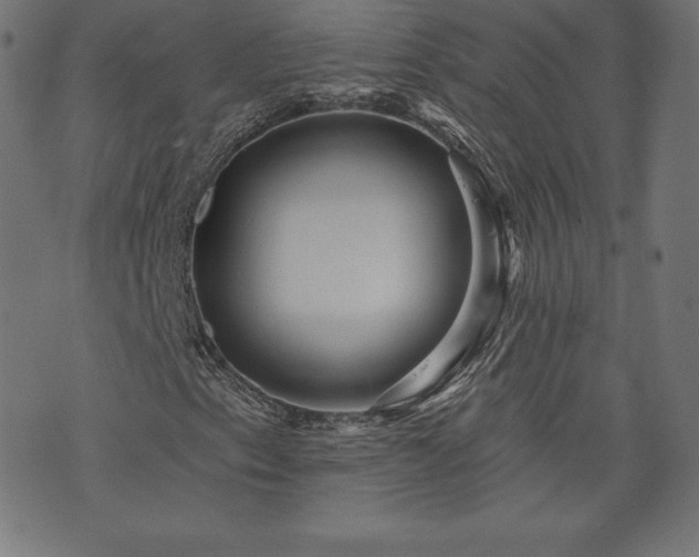 X0000074011153200608211415