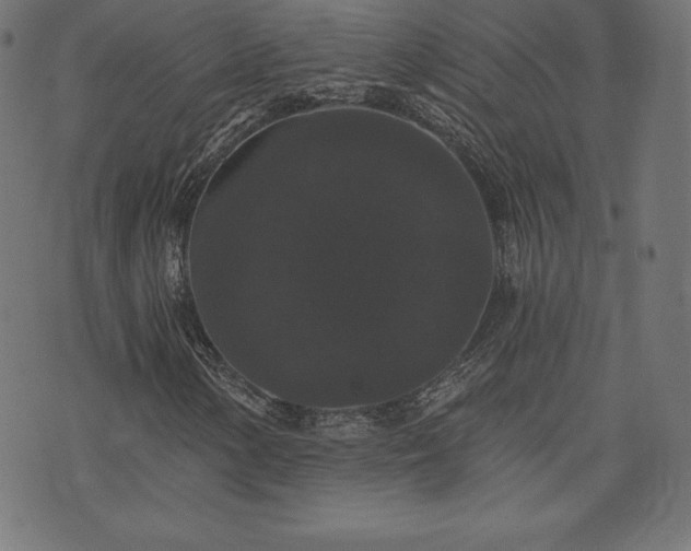 X0000074011154200608211414