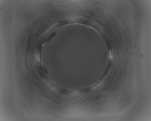X0000074011155200608211414