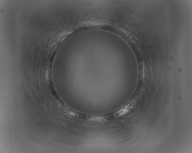 X0000074011157200608211414