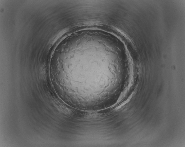 X0000074011162200608211414