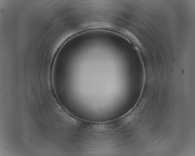 X0000074011182200608211414