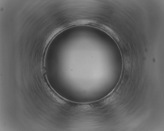 X0000074011186200608211414