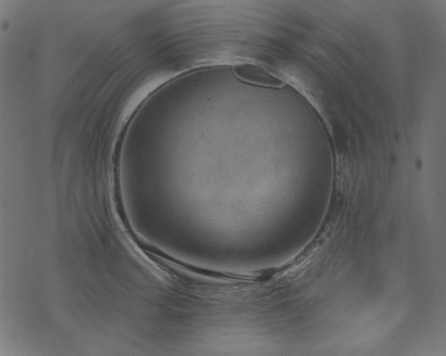 X0000074011187200608211414