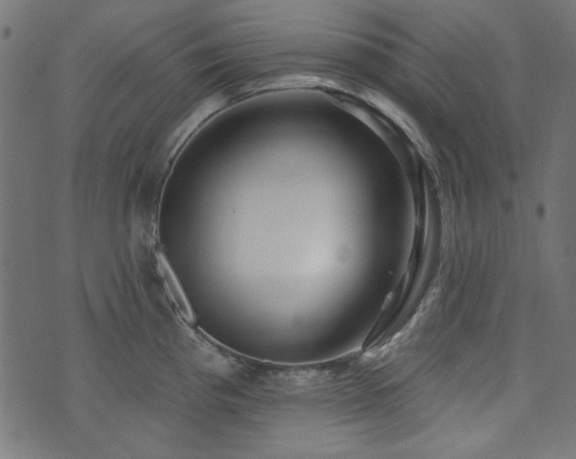 X0000074011193200608211414