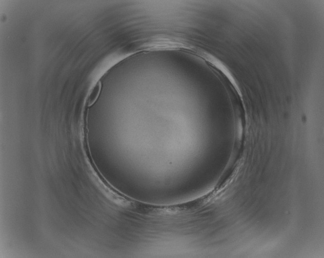 X0000074011195200608211414