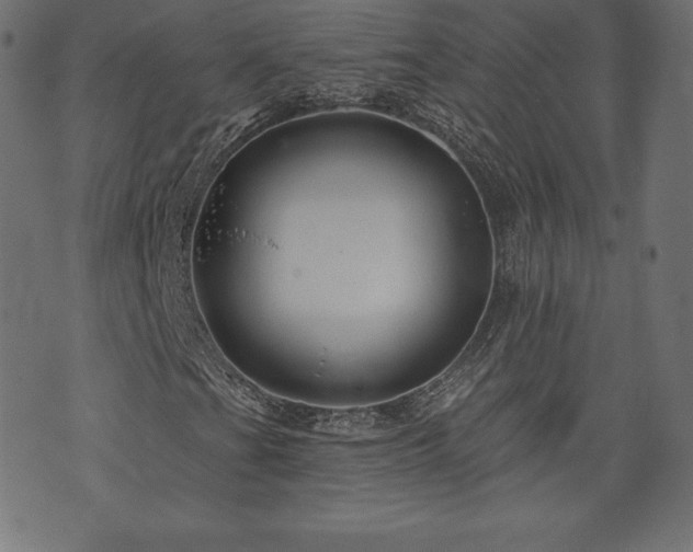 X0000074011201200608211413