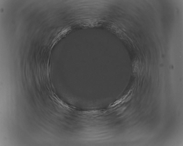 X0000074011202200608211413