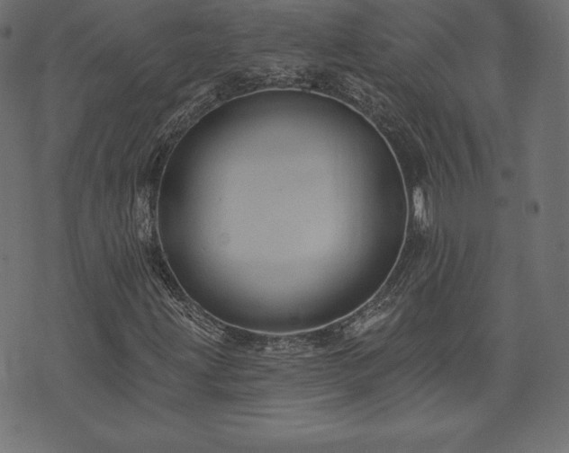 X0000074011203200608211413