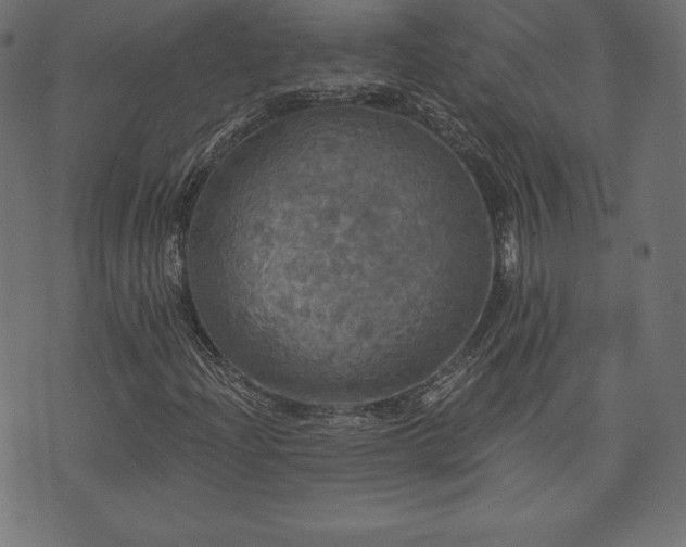 X0000074011204200608211413