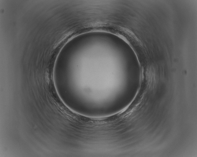 X0000074011209200608211413