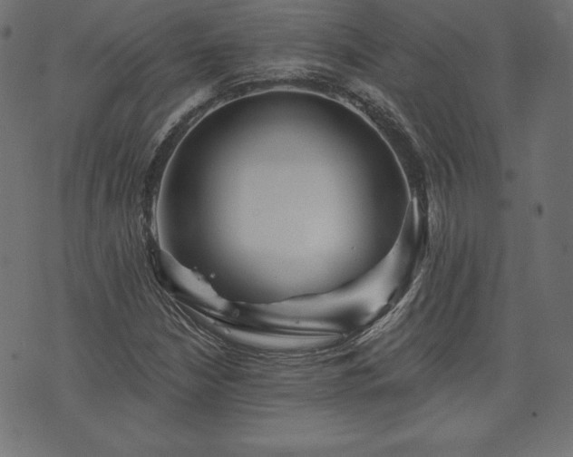 X0000074011210200608211413