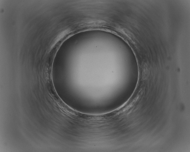 X0000074011211200608211413