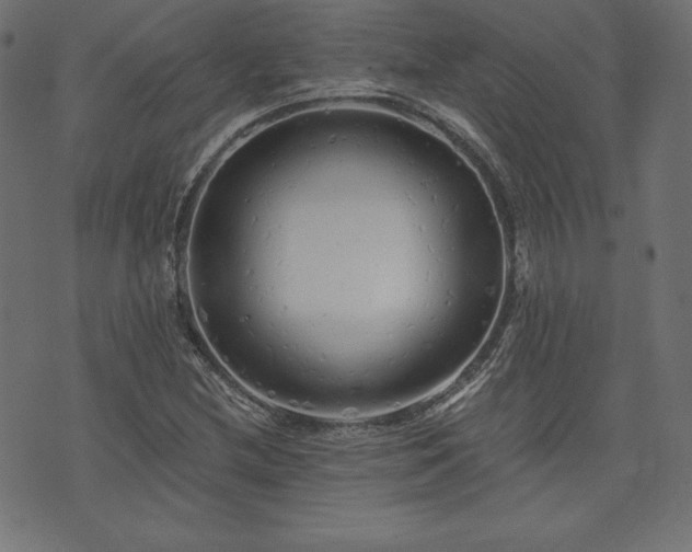 X0000074011212200608211413
