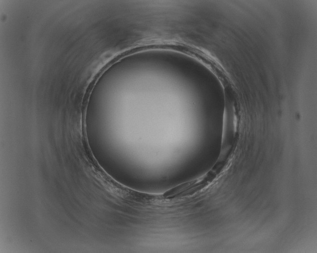 X0000074011220200608211413