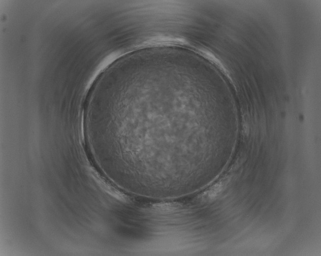 X0000074011227200608211413