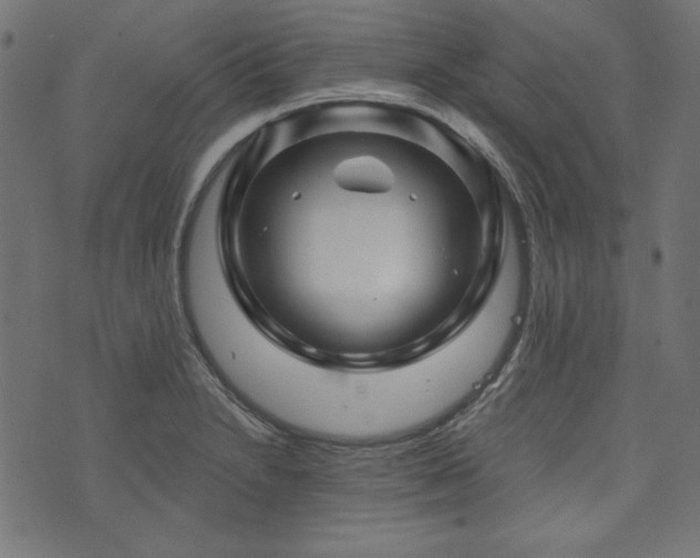 X0000074011230200608211413