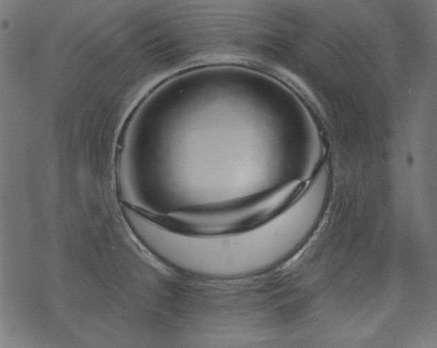 X0000074011236200608211414