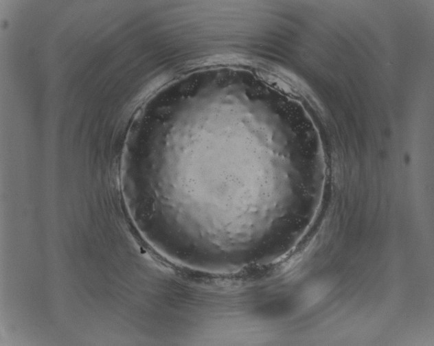 X0000074011241200608211414