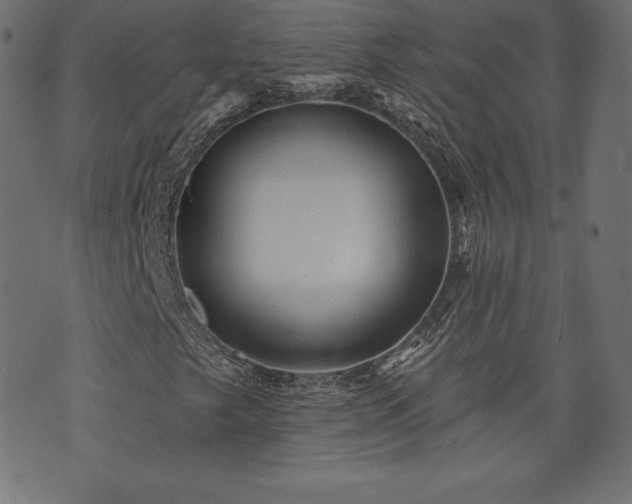 X0000074011249200608211413