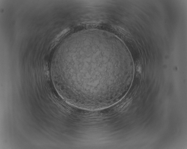 X0000074011252200608211413