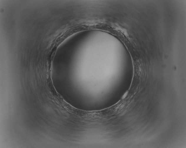 X0000074011253200608211413