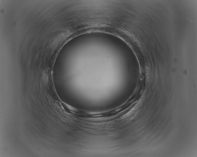 X0000074011257200608211413