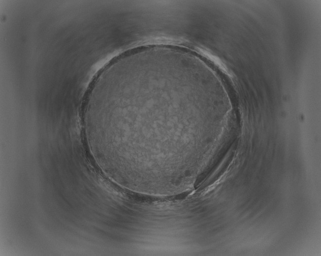 X0000074011264200608211413