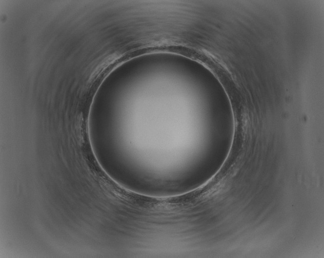 X0000074011265200608211413
