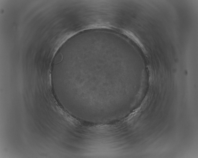 X0000074011268200608211413