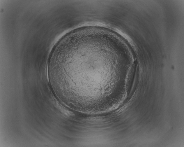 X0000074011272200608211413