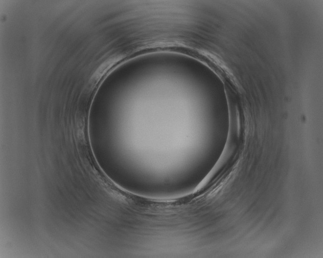 X0000074011273200608211413
