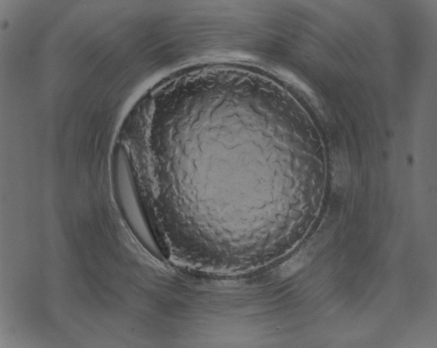 X0000074011280200608211412