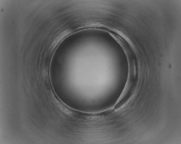 X0000074011281200608211412