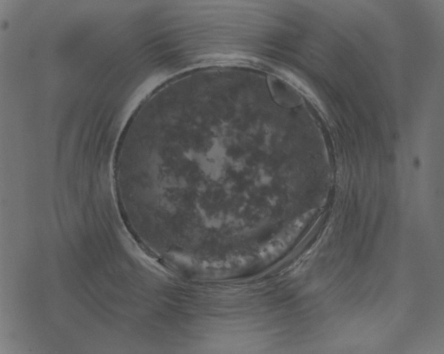 X0000074011283200608211412