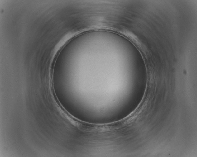 X0000074011286200608211412