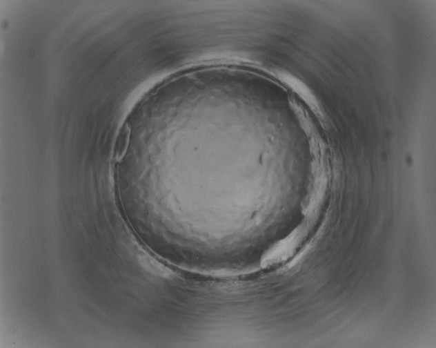 X0000074011288200608211412