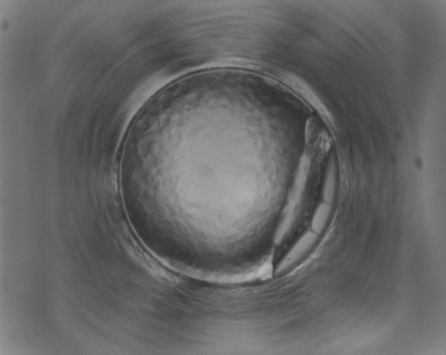 X0000074011292200608211412