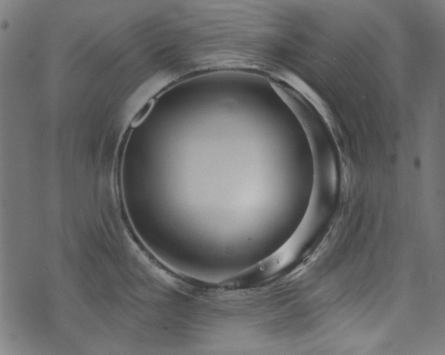X0000074011293200608211412