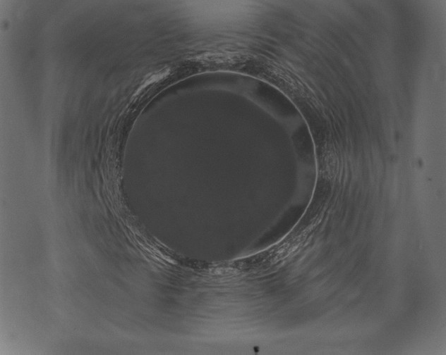 X0000074011297200608211411