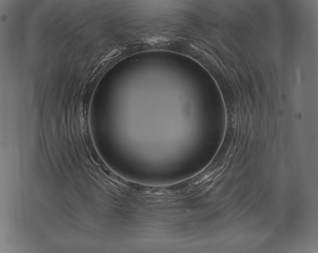 X0000074011298200608211411